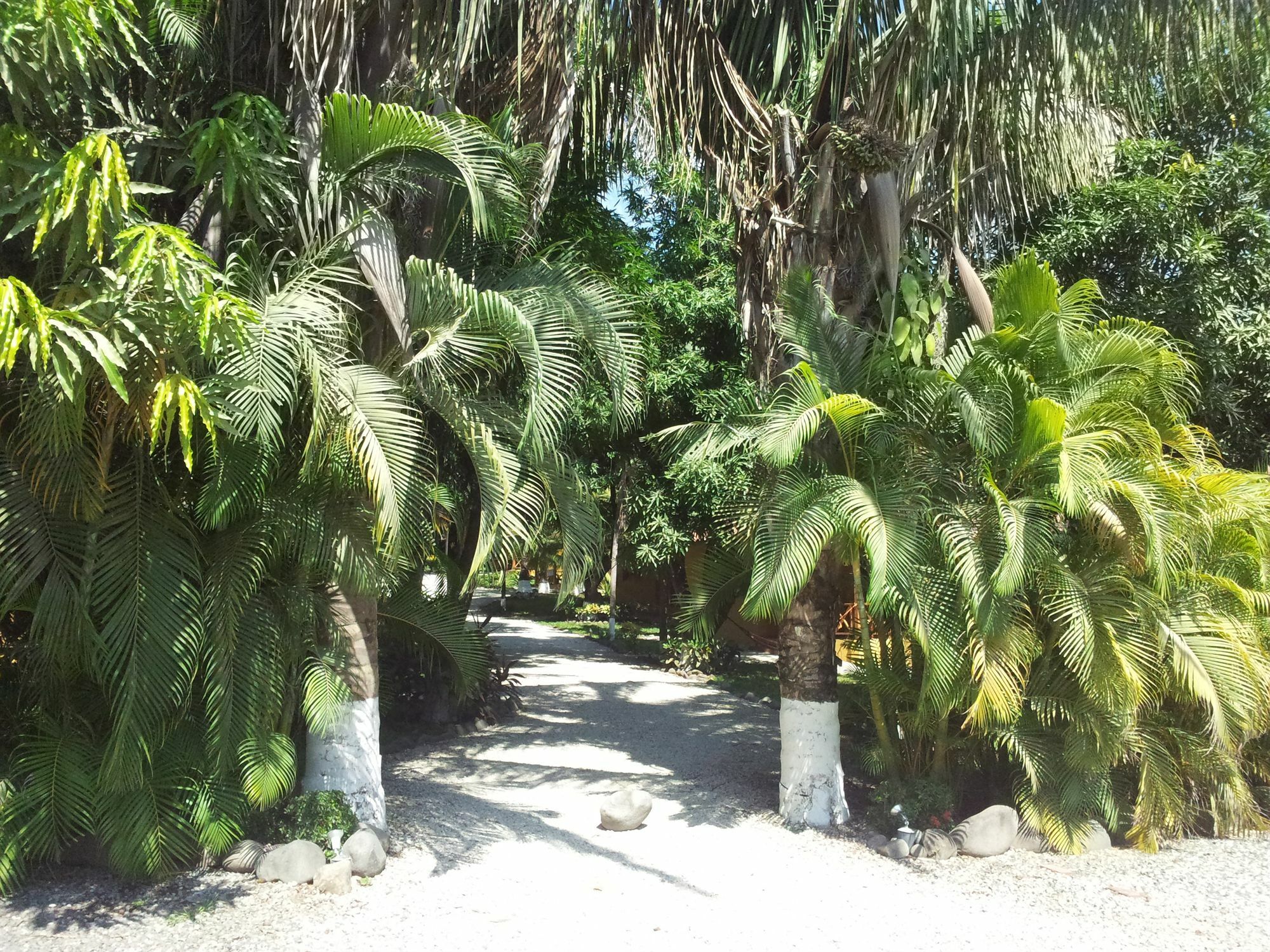 Esencia Hotel And Villas Playa Santa Teresa  Eksteriør billede